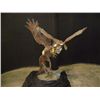 Image 1 : Bronze Eagles, 62"x75"x36"