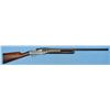 Image 2 : Scarce Sjogren Semi-Automatic Shotgun