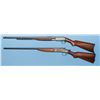 Image 1 : Two Rifles