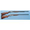 Image 2 : Two Rifles