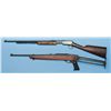Image 1 : Two Long Guns