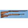 Image 2 : Two Rifles