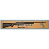 Image 2 : Colt Light Model Bolt Action Rifle