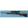 Image 1 : Ruger Model 10/22 Semi-Automatic Rifle