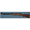 Image 1 : One Shotgun and One Air Rifle