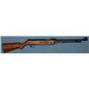 Image 2 : One Shotgun and One Air Rifle