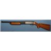 Image 3 : One Shotgun and One Air Rifle