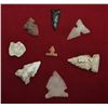 Image 1 : Set of 8 Washita Points, 1 Very Tiny Specimen