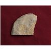 Image 1 : War Club Inclusion, Colorado,