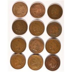 12 DIFFERENT INDIAN HEAD CENTS (81,82,83,85,87,88,89,90,93,95,96,97) AG-XF