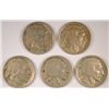 Image 1 : 5 DIFFERENT BUFFALO NICKELS ( 13-1, 13-D 1, 13-2, 14,15) VG-VF