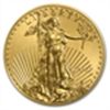 Image 1 : 2007 1/2 oz Gold American Eagle MS-69 NGC