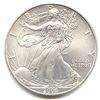 Image 1 : Uncirculated Silver Eagle 2008
