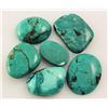 Image 1 : Natural Turquoise 160.22ctw Loose Small Gemstone Lot of 6