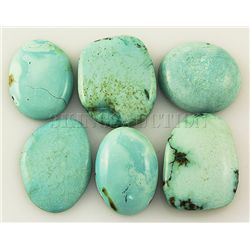 Natural Turquoise 148.60ctw Loose Small Gemstone Lot of 6