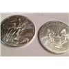 Image 1 : 2013 MS-69 PURE SILVER 1 OZ AMERICAN EAGLE