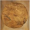 Image 2 : Pueblo Painted Hide Shield