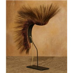 Southern Plains Roach