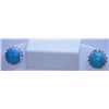 Image 1 : TURQOUISE AND CZ EARRING