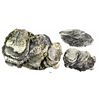 Image 1 : Huge clump of 20+ small silver contraband "splash" ingots and one Mexican cob 8 reales, Philip IV, a
