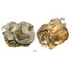 Image 1 : Encrusted clump of 6 cobs (one 8R and five 4R).