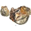 Image 1 : Natural conglomeration containing one Dutch gold ducat (Utrecht, 1711) and four silver ducatoons (on