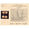 Image 2 : Pair of gold cagework cufflinks.