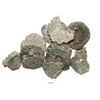 Image 1 : Lot of 10 Lima, Peru, and Potosi, Bolivia, cob 8R and 4R (mostly fragments), various dates and assay