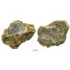 Image 1 : Clump of two coins in matrix (as found): one English shilling (probably William III, 1696-7) and one