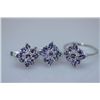 Image 1 : 31.68 CTW TANZANITE SET .925 STERLING SILVER