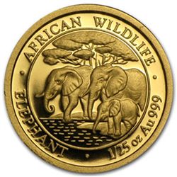 2013 1/25 oz Gold Somalian African Elephant