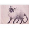 Margaret Stussy 20th Century American