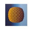 Victor Vasarely (1908-1997) Hungarian