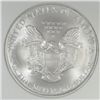 Image 3 : 2005 AMERICAN SILVER EAGLE NGC MS-69 FIRST STRIKE