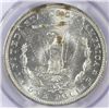 Image 3 : 1884-O MORGAN DOLLAR PCGS MS-64+