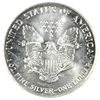 Image 2 : 1993 SILVER AMERICAN EAGLE