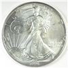 Image 1 : 1994 SILVER AMERICAN EAGLE