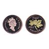 Image 1 : 2003. Gold Maple Leaf.