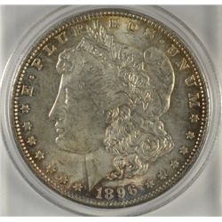 1896 MORGAN DOLLAR MS63 TONED