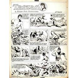 Burne Hogarth - Original Comic Strip Art for Tarzan dated 6-24-45 (United Features Syndicate, 194...