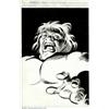 Image 1 : Gene Colan - Original Art Pin-up of The Hulk  Large image of the Incredible Hulk beautifully illu...