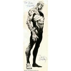 Bernie Wrightson - Original Art Illustration of Swamp Thing (DC, 1975). Eerie, wonderful full-bod...