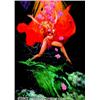 Image 1 : Rowena Morrill - Original Painting - "Falls" (undated). One of the finest fantasy artists of her...