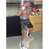 Image 1 : Full size boxer Mike Tyson