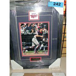 Framed baseball 8x10 photo