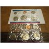 Image 1 : 1980 US MINT SET (UNC) P/D/S (WITH ENVELOPE)