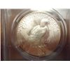 Image 2 : 1926 PEACE SILVER DOLLAR PCGS MS62