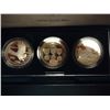 Image 2 : 1994-P US VETERANS 3 SILVER DOLLAR PROOF SET