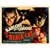 Image 1 : Black Cat, The (Universal, 1934) Half sheet (22" X 28") Style B. This was the first teaming of Un...