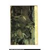 Image 2 : Tarzan, Edgar Rice Burroughs Lot (Dell, 1950s). This lot contains 23 different issues of Tarzan b...